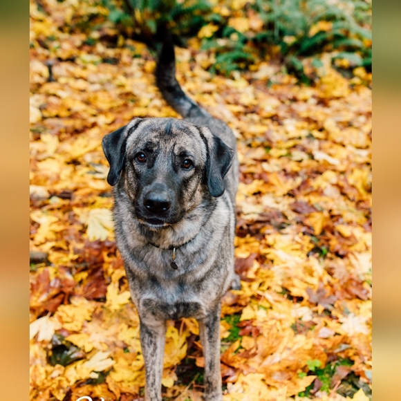 ⛰️⭐ WASH_POSH_ is LIVE ⭐⛰️ Jillian's Live Show Notification - Picture 7 of 11